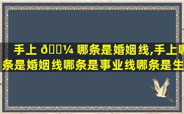 手上 🌼 哪条是婚姻线,手上哪条是婚姻线哪条是事业线哪条是生命 🍀 线